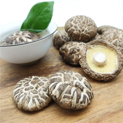 Flower Shiitake Mushroom