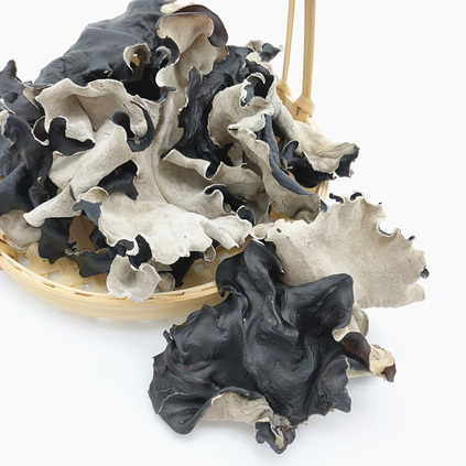 White Back Black Fungus